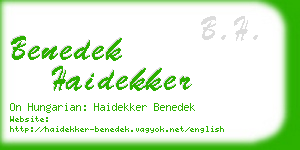 benedek haidekker business card